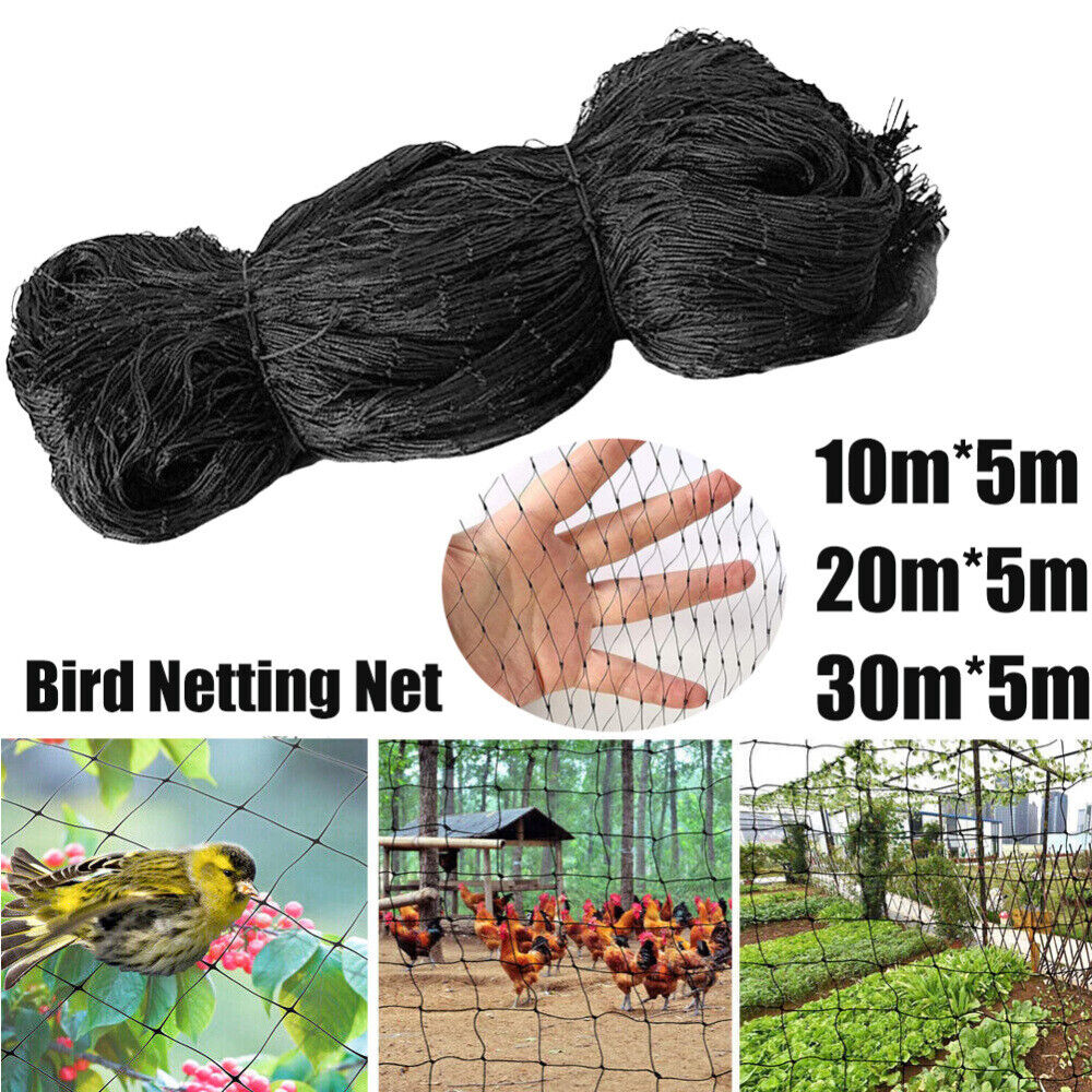 Anti Bird Netting | Durable Nylon Poultry & Garden Protection Net