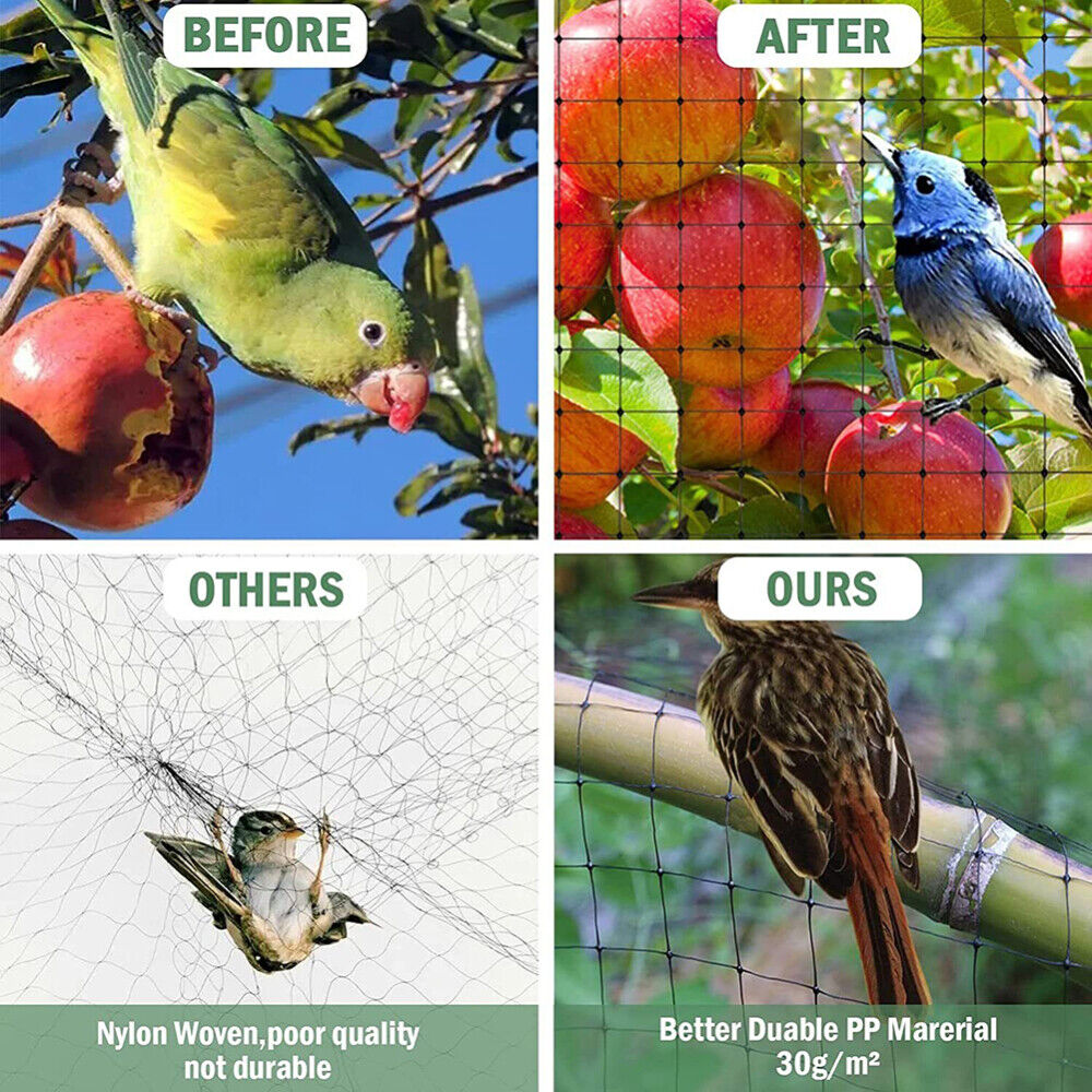 Anti Bird Netting | Durable Nylon Poultry & Garden Protection Net