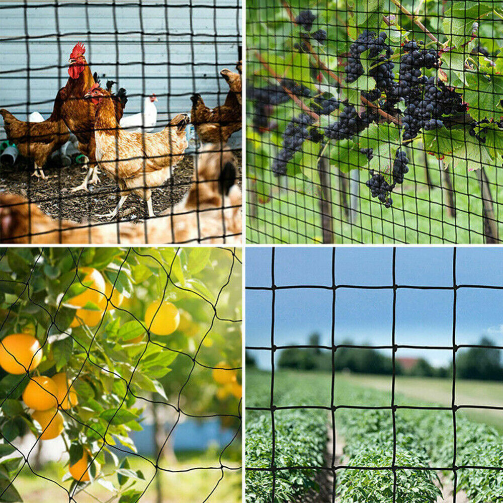 Anti Bird Netting | Durable Nylon Poultry & Garden Protection Net