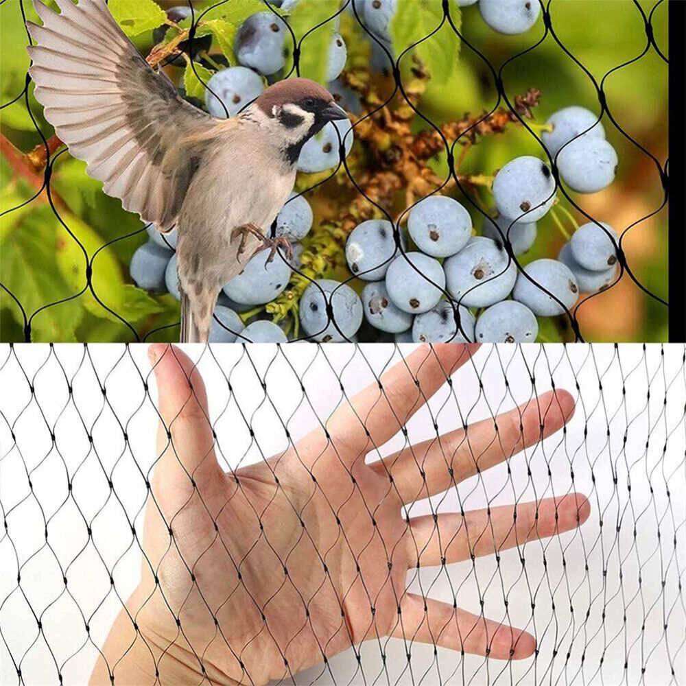 Anti Bird Netting | Durable Nylon Poultry & Garden Protection Net