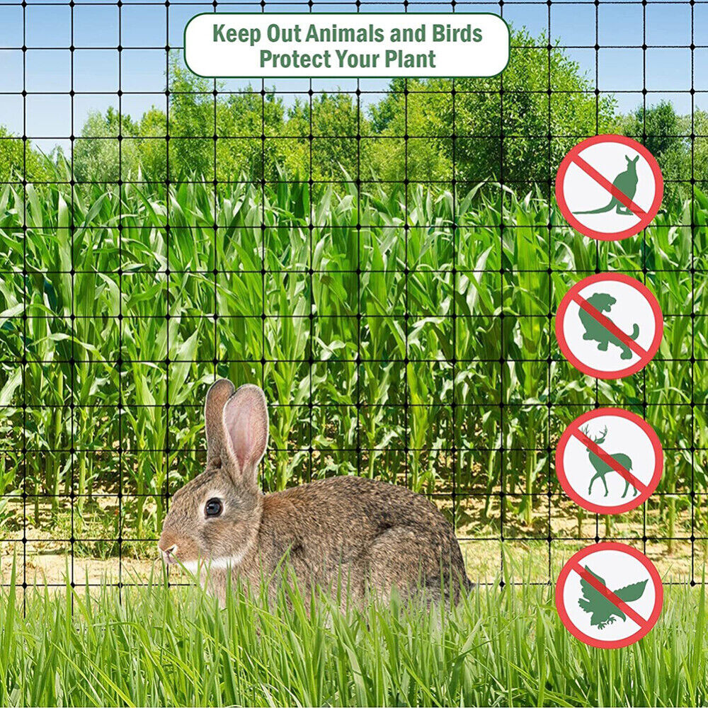 Anti Bird Netting | Durable Nylon Poultry & Garden Protection Net