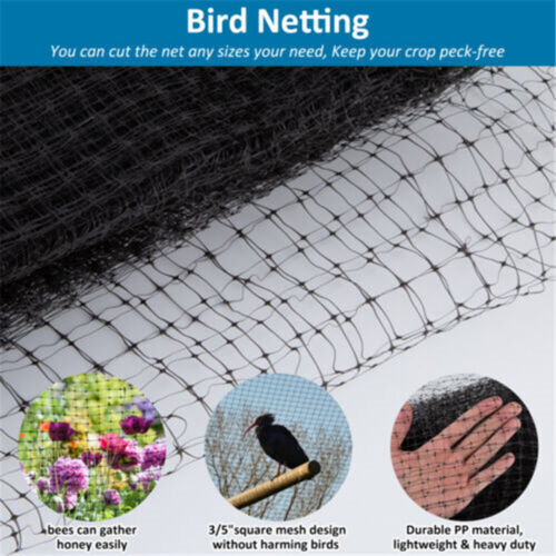 Anti Bird Netting | Durable Nylon Poultry & Garden Protection Net