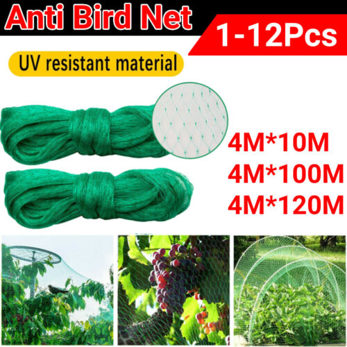 Anti Bird Netting | Durable Nylon Poultry & Garden Protection Net