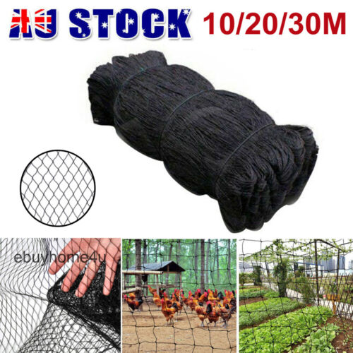 Anti Bird Netting | Durable Nylon Poultry & Garden Protection Net
